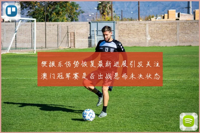 樊振东伤势恢复最新进展引发关注澳门冠军赛是否出战悬而未决状态