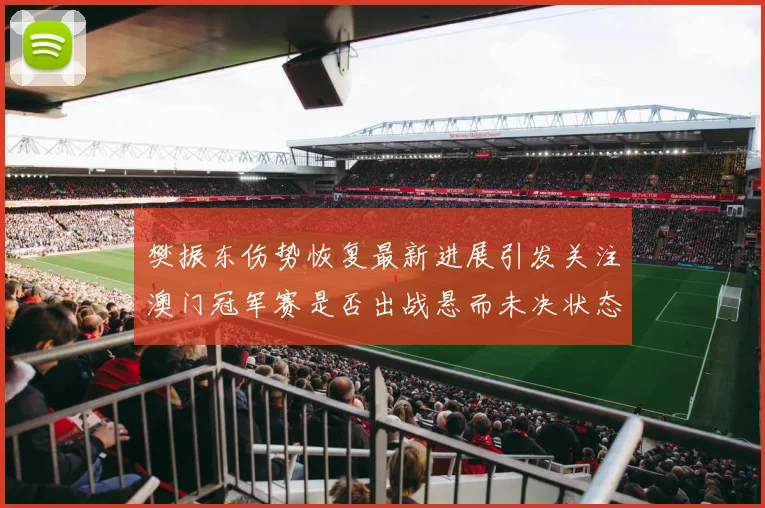 樊振东伤势恢复最新进展引发关注澳门冠军赛是否出战悬而未决状态