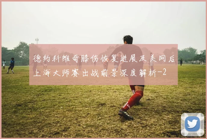 德约科维奇膝伤恢复进展及美网后上海大师赛出战前景深度解析