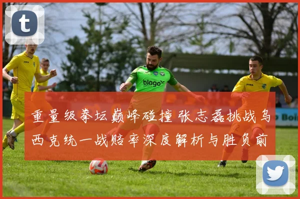 重量级拳坛巅峰碰撞 张志磊挑战乌西克统一战赔率深度解析与胜负前瞻